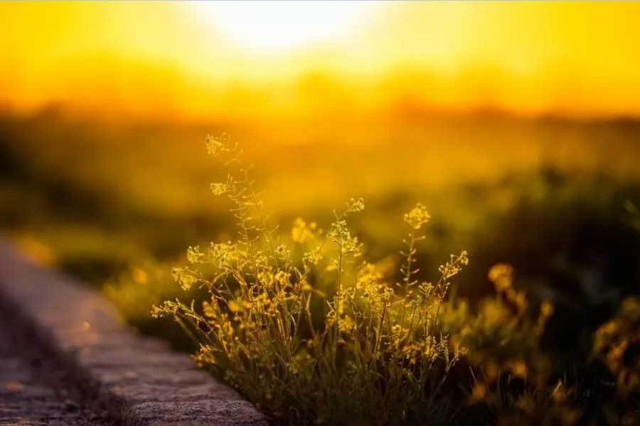 杭州亚运会体育场馆全面开放惠民